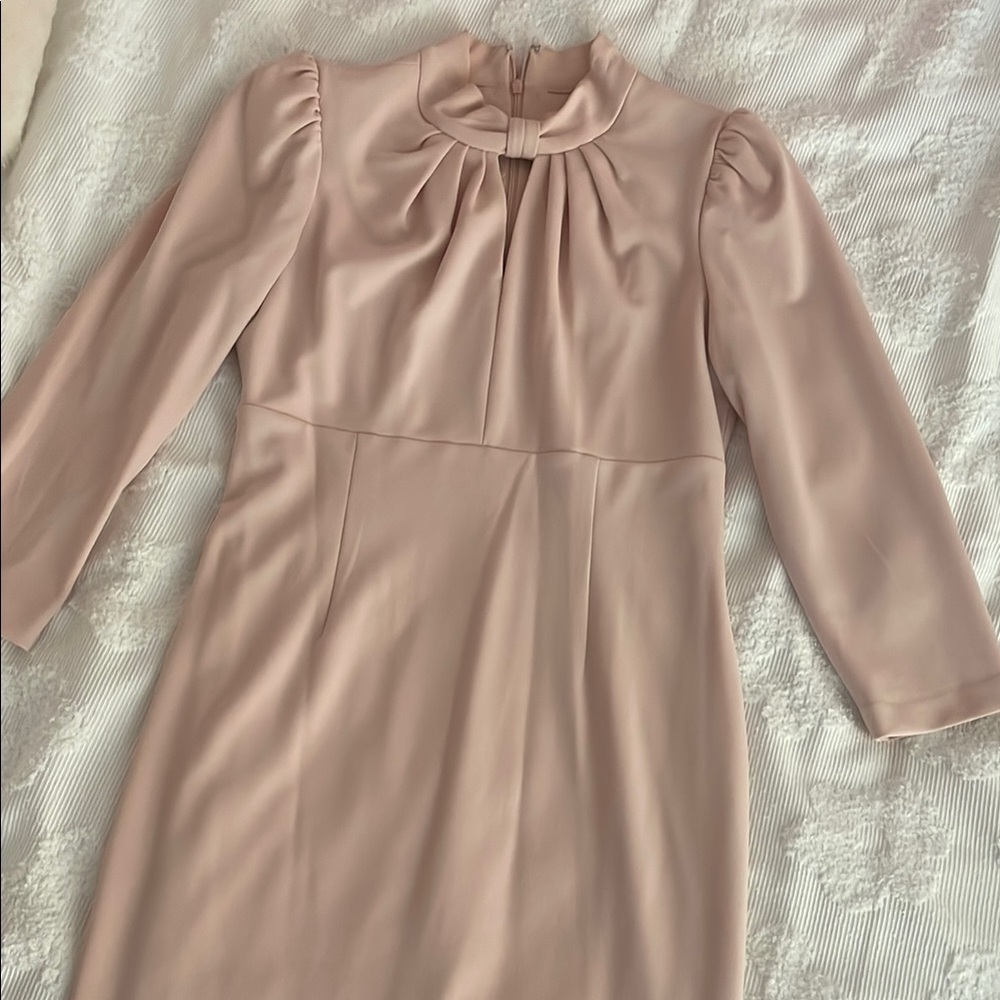 Elegant Pink Dress
